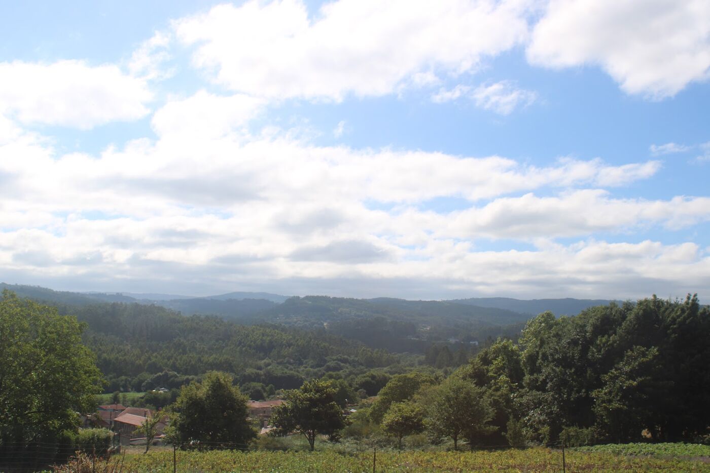 Rolling green hills under a wide sky