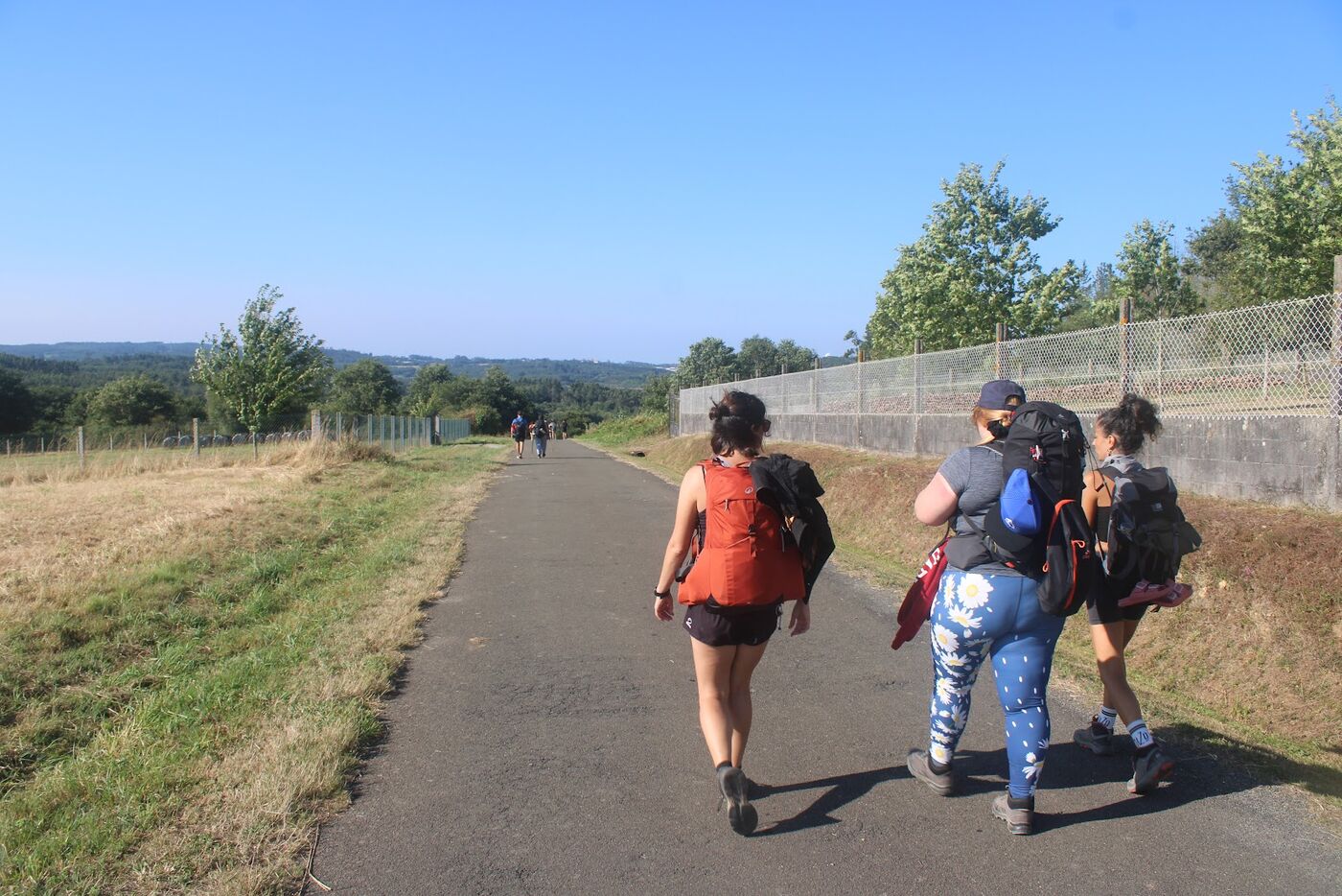 Walkers with backpacks on a path between fields
